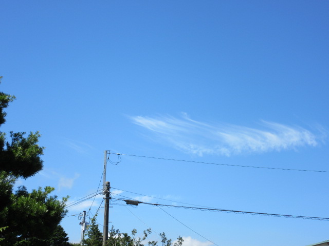 d0109373_1739526.jpg