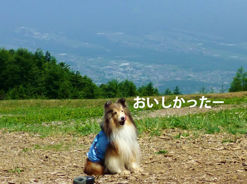 a0157174_1219834.png