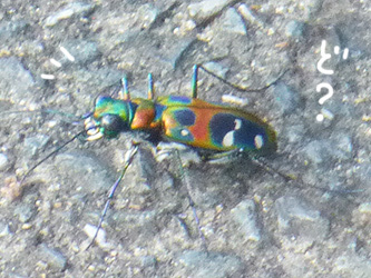 b0057675_21341413.jpg