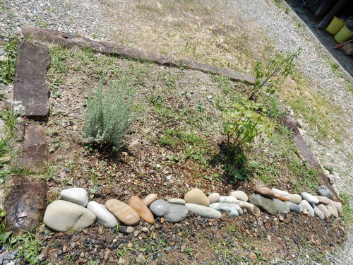 f0054677_09000469.jpg