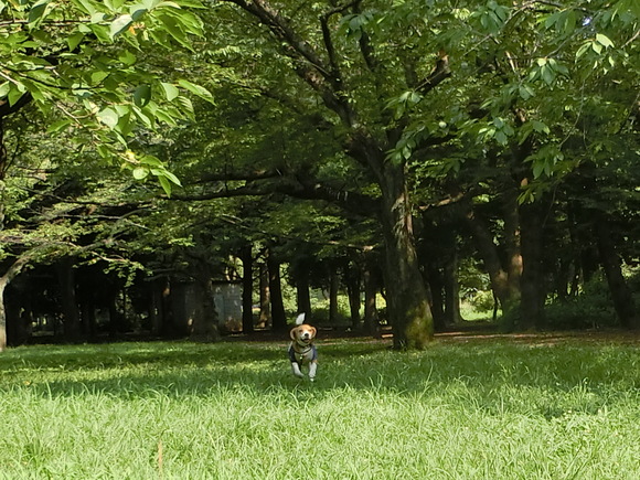 a0319693_815758.jpg