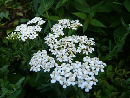 f0221708_11312720.jpg