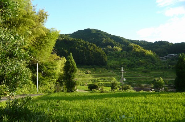 f0221708_1135061.jpg