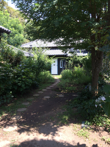 c0114110_8594036.jpg
