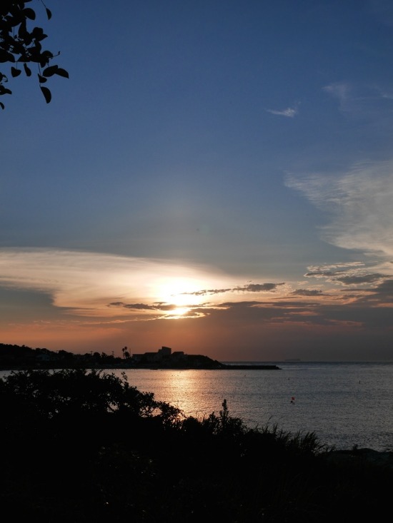 c0114110_932481.jpg