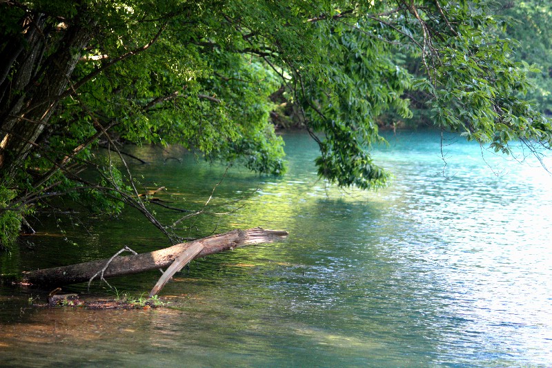 e0204314_18201067.jpg
