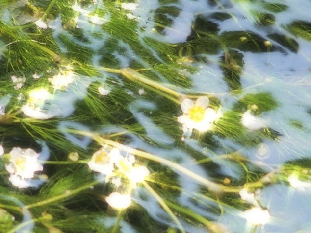 e0339317_21094419.jpg