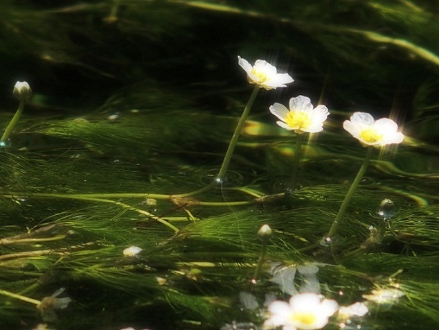 e0339317_21101735.jpg