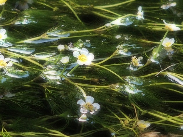 e0339317_21104691.jpg