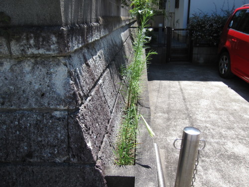 e0350927_11014145.jpg