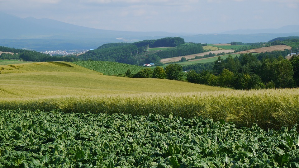 f0231829_23114386.jpg