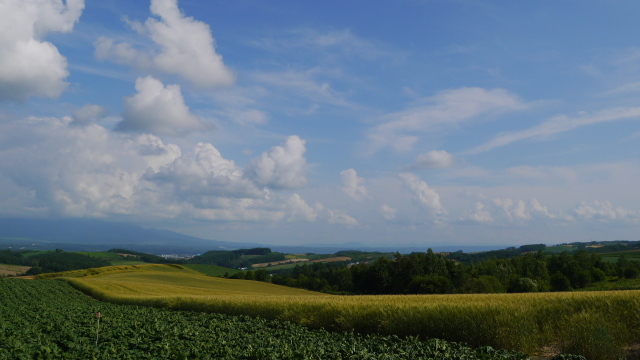 f0231829_23115500.jpg