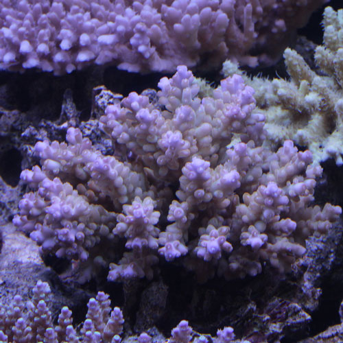 d0221436_22241725.jpg