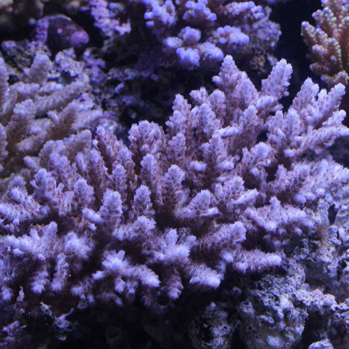 d0221436_22244059.jpg