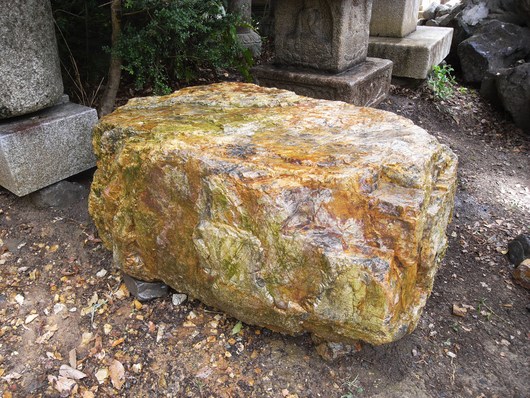 e0126548_1174767.jpg