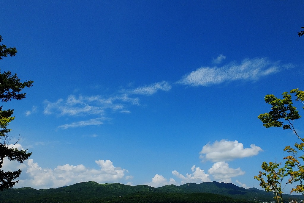 b0236251_1641836.jpg