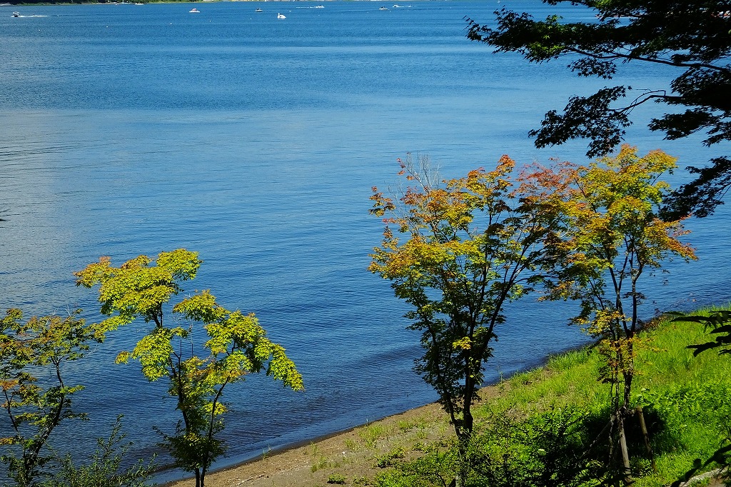 b0236251_1651276.jpg