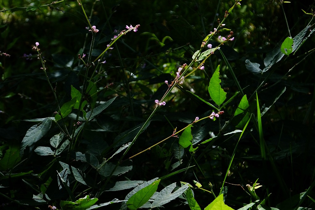 b0236251_1681372.jpg
