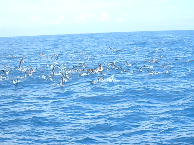 a0248152_1842982.jpg