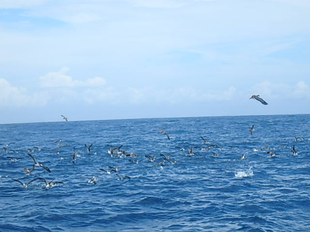 a0248152_1844829.jpg