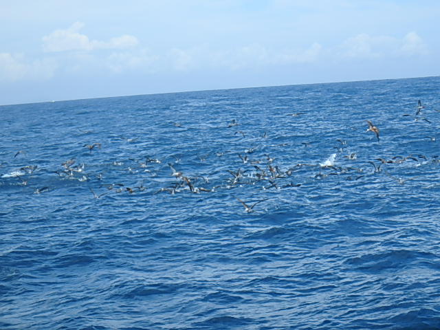 a0248152_1845897.jpg