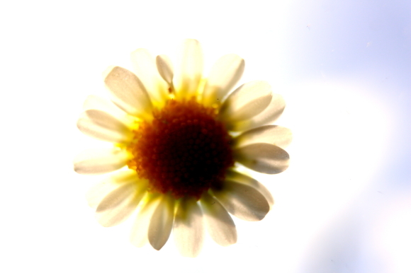 b0243152_11424898.jpg
