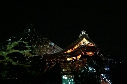 f0020564_1383868.jpg