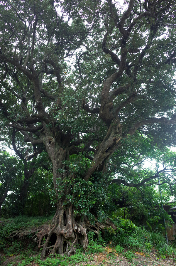c0048265_14463469.jpg