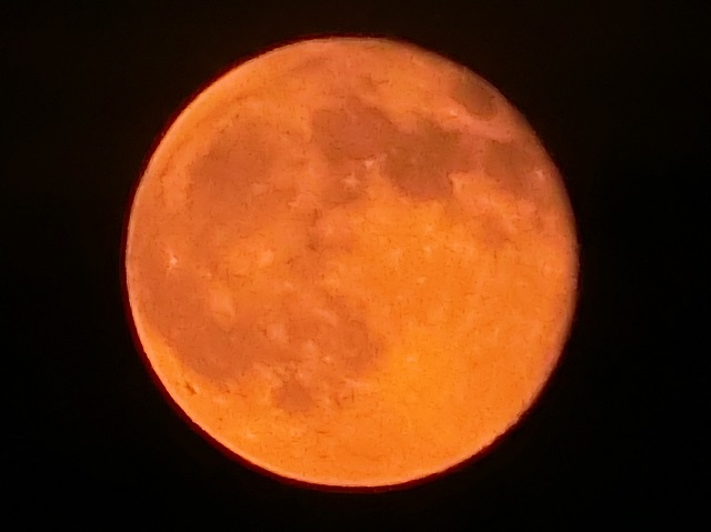 d0147774_1158485.jpg