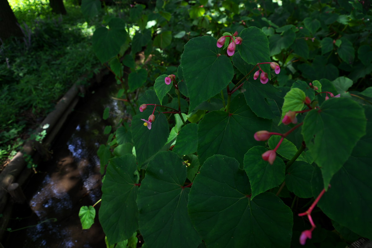 a0083081_21495826.jpg