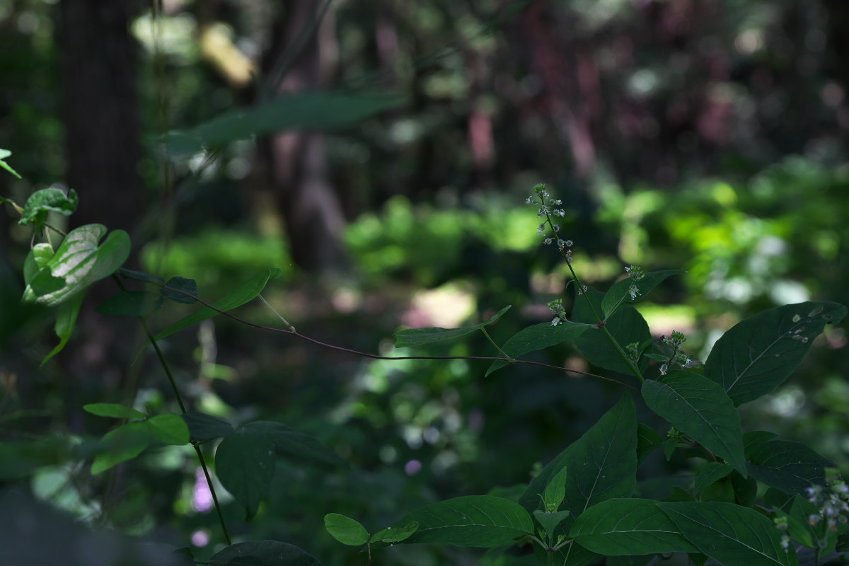 a0083081_21524291.jpg