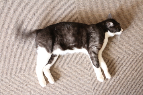 f0222387_11183880.jpg