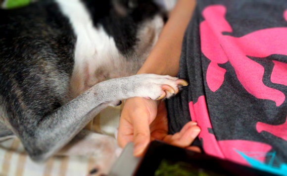 c0242791_00523914.jpg