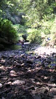 f0009509_17223030.jpg