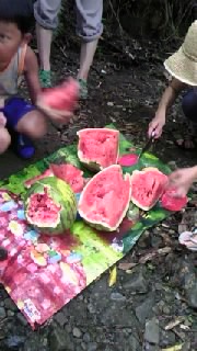 f0009509_17223060.jpg