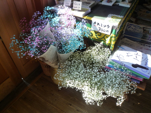 c0189218_8461625.jpg