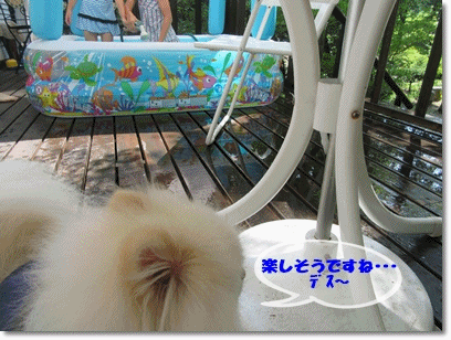 b0167519_1122236.gif