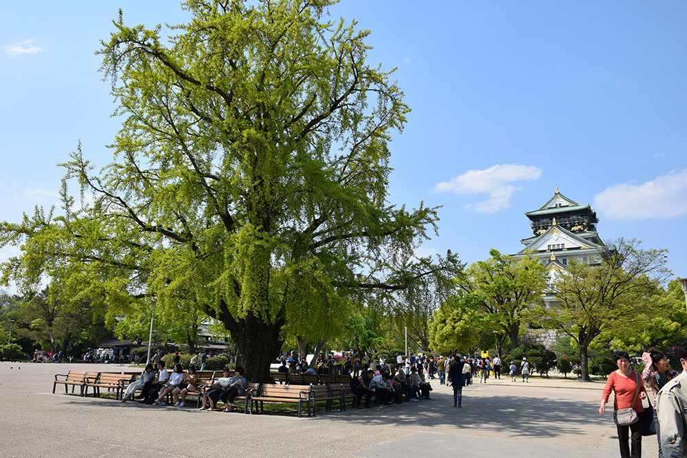 e0158128_2072541.jpg
