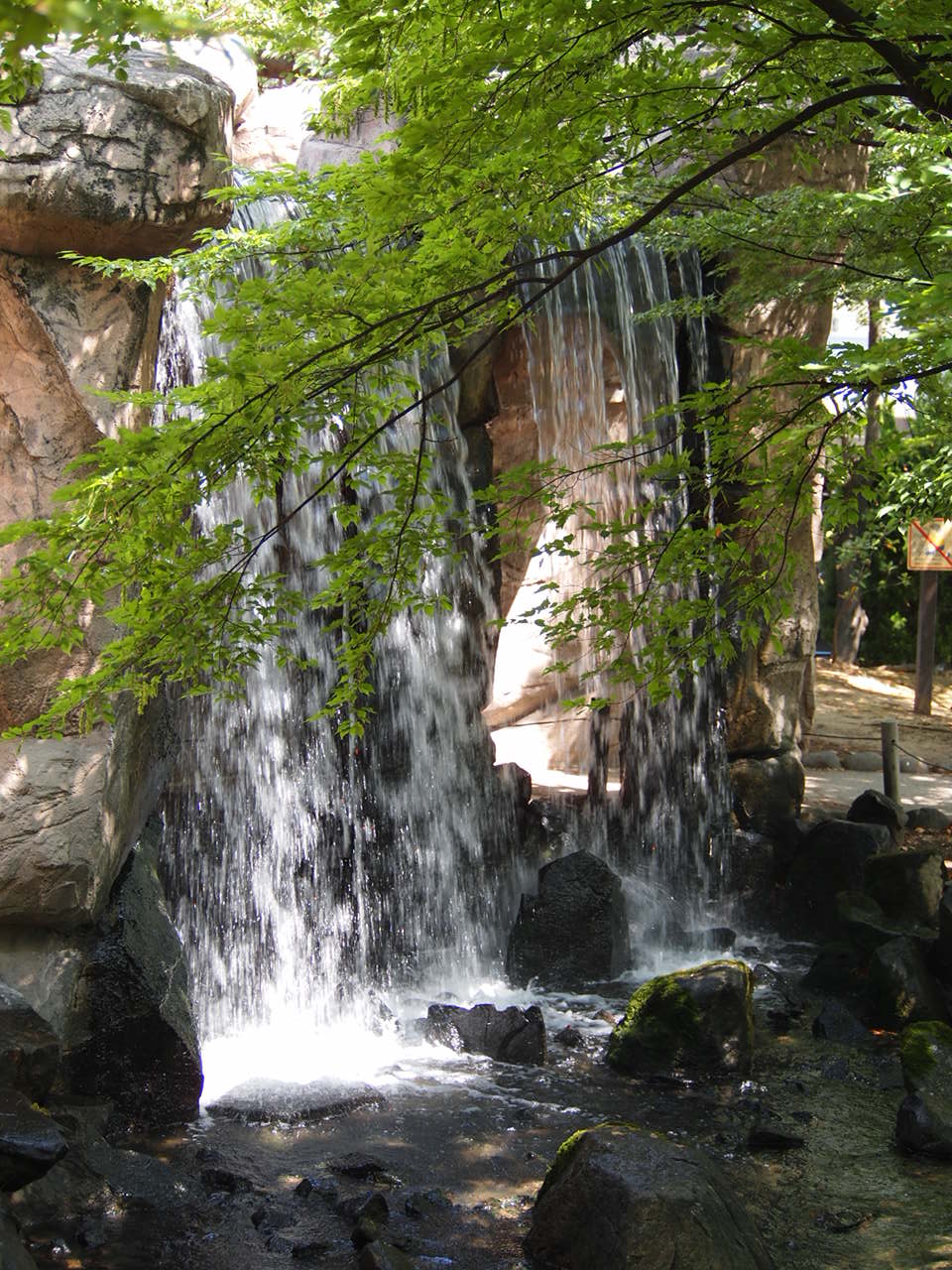 a0214329_8512554.jpg