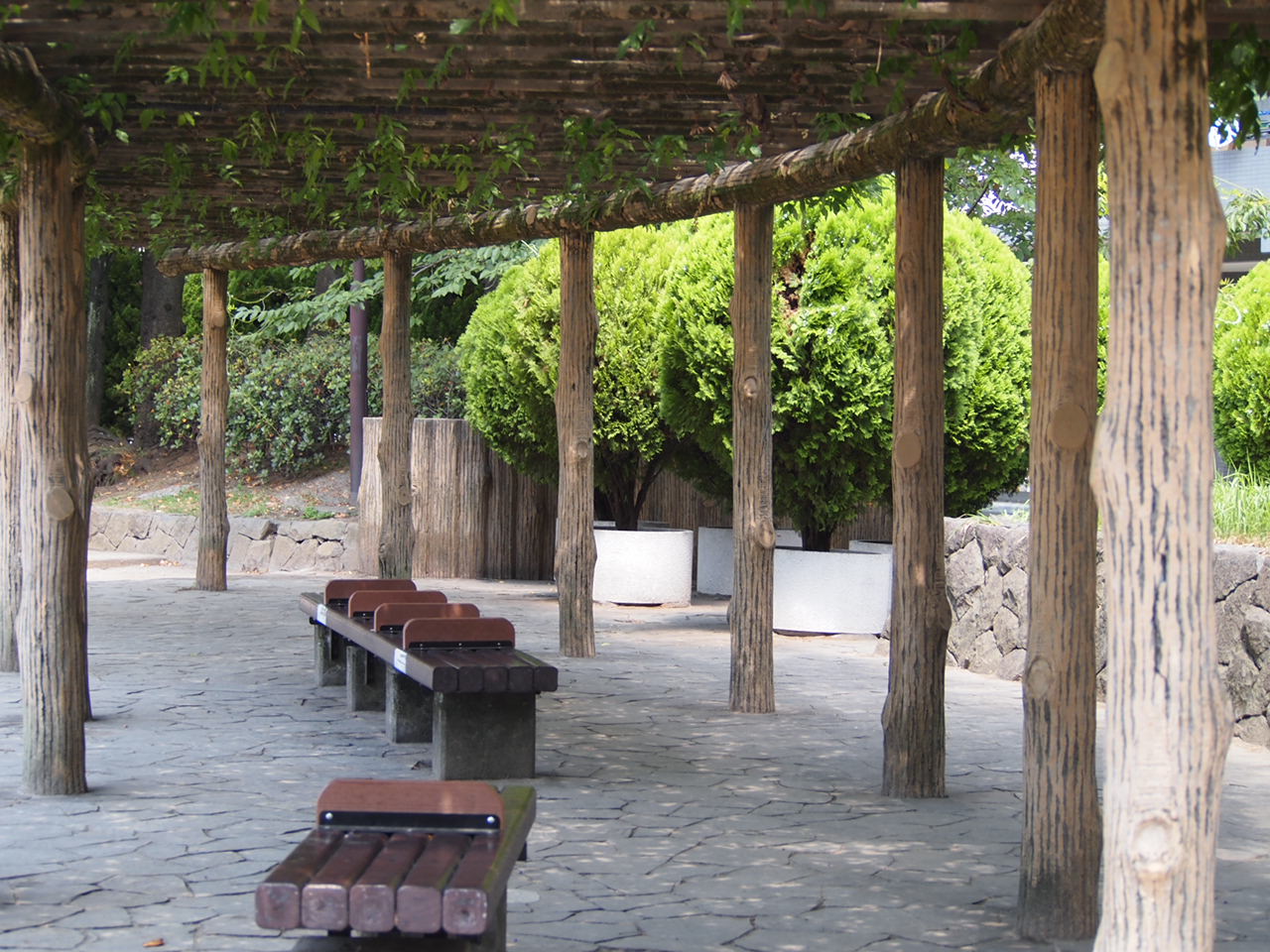 a0214329_854013.jpg