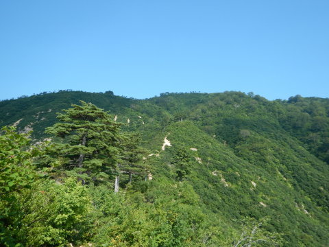 f0118332_23404849.jpg