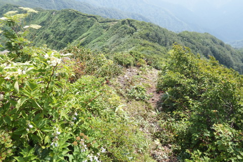 f0118332_23480872.jpg
