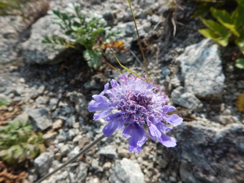 f0118332_23574121.jpg