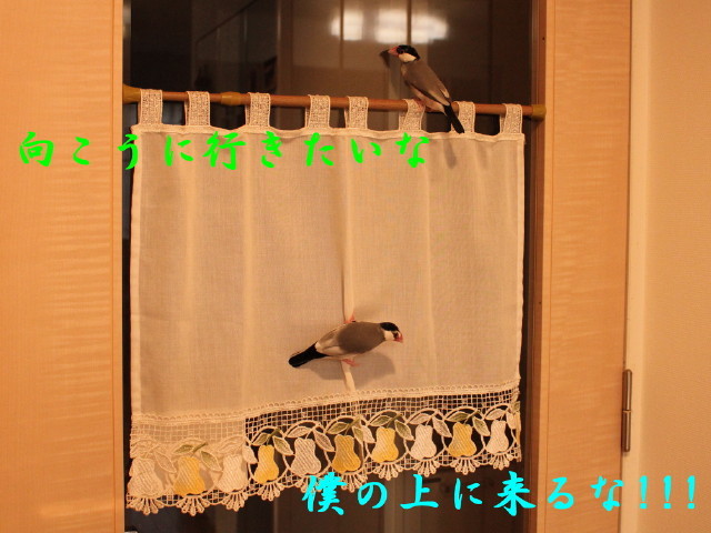 c0365734_22044245.jpg