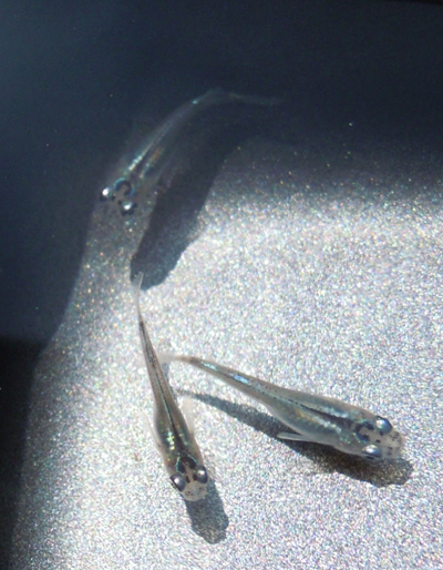 e0097534_188416.jpg