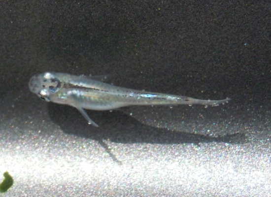 e0097534_1891174.jpg