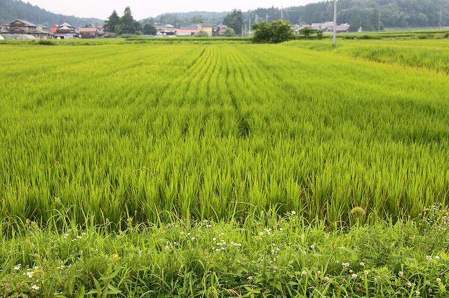 a0242438_18374136.jpg