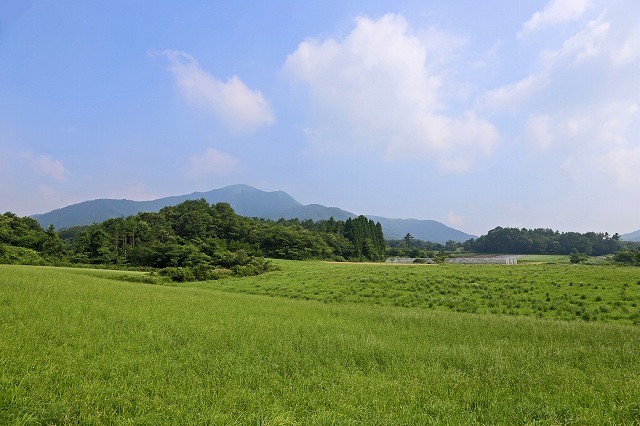 a0242438_18395983.jpg