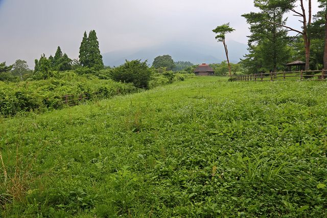a0242438_18414727.jpg