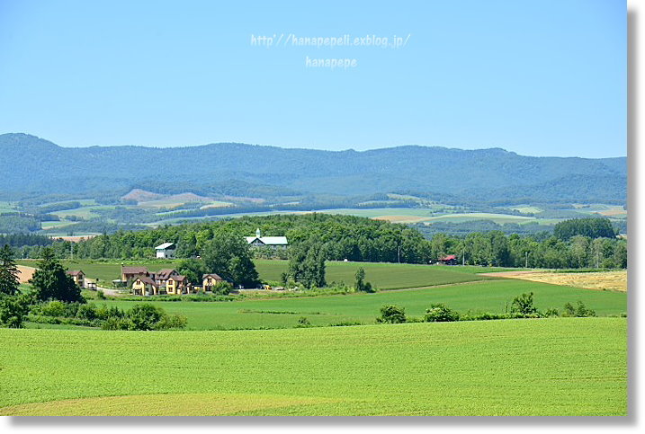 a0145741_17335429.jpg